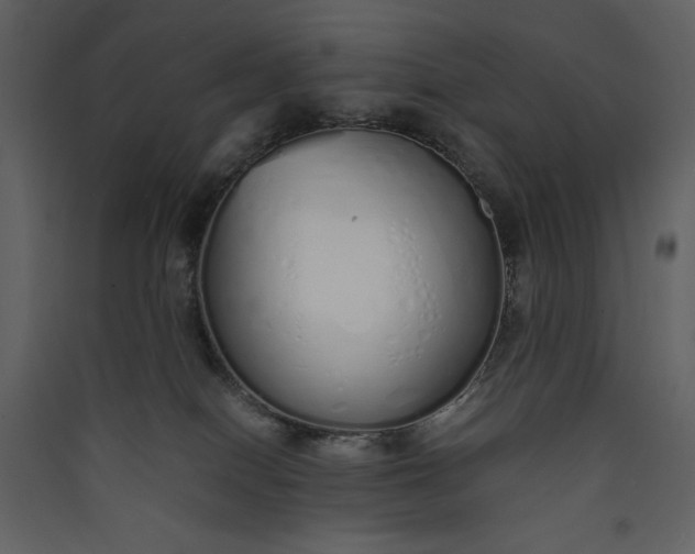 X0000089930086200707131441