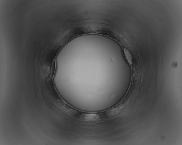 X0000089930087200707131441