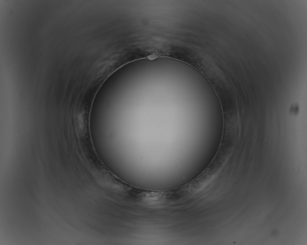 X0000089930088200707131441