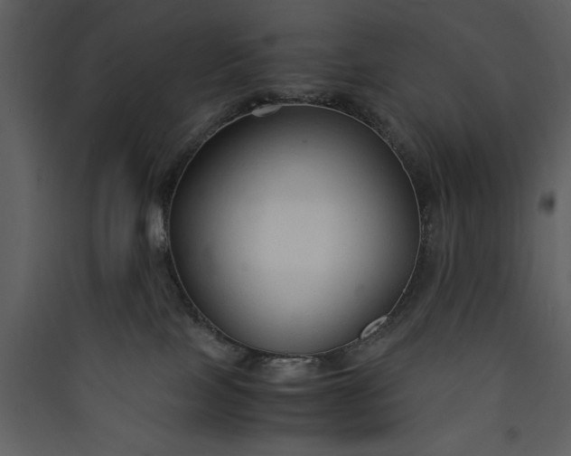 X0000089930089200707131441