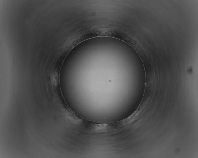 X0000089930090200707131441