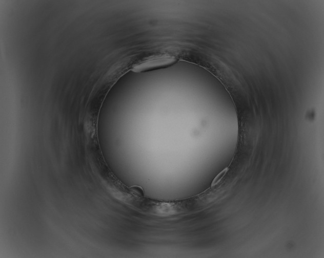 X0000089930091200707131441