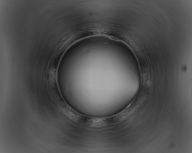 X0000089930093200707131441