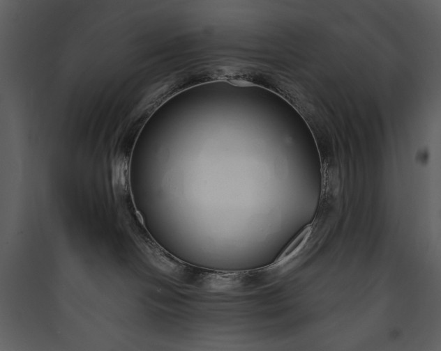 X0000089930094200707131441