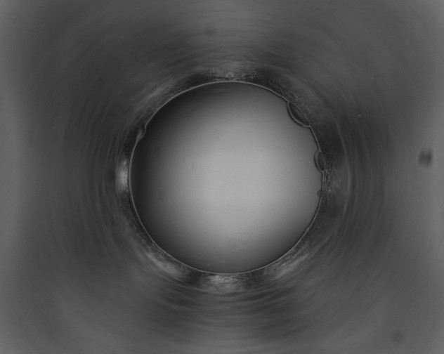 X0000089930095200707131441