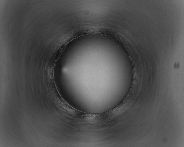 X0000089930096200707131441