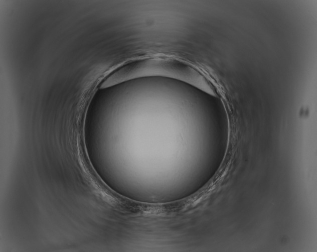 X0000089930097200707131440