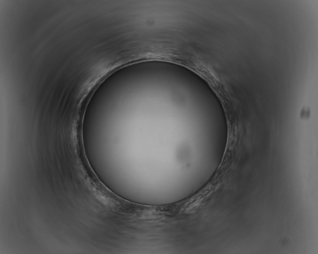 X0000089930098200707131440