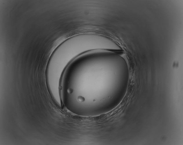 X0000089930099200707131440