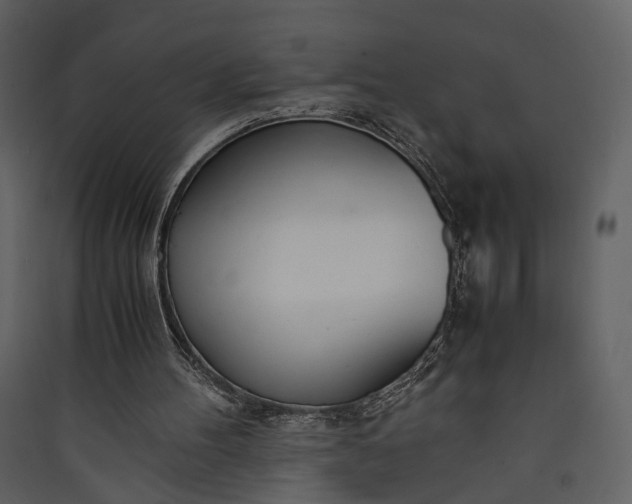 X0000089930100200707131440