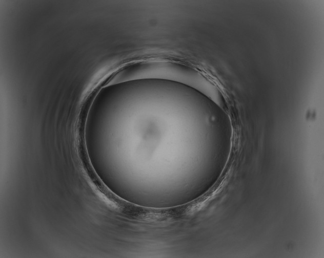 X0000089930101200707131440