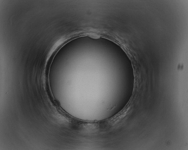 X0000089930102200707131440