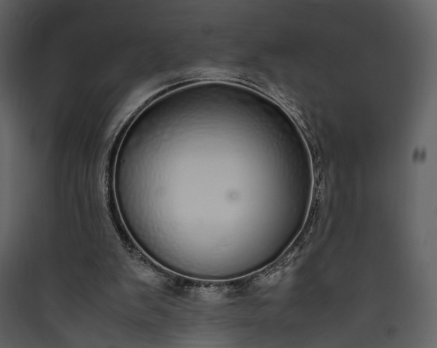 X0000089930103200707131440