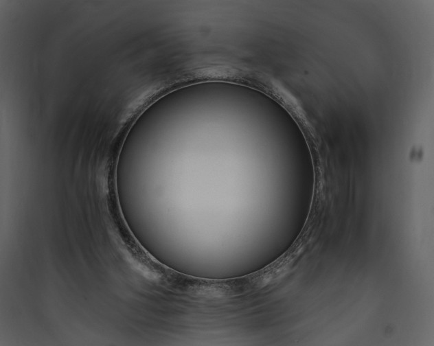 X0000089930106200707131440