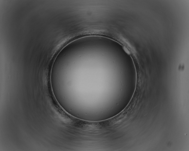 X0000089930107200707131440