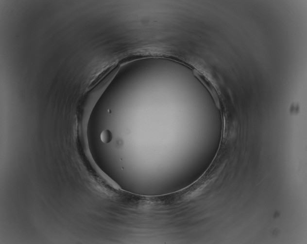 X0000089930109200707131440