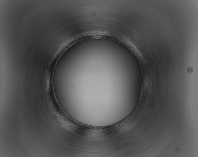 X0000089930110200707131440