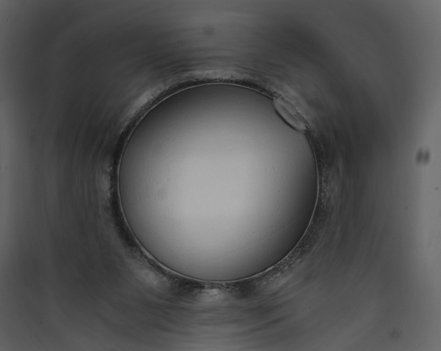 X0000089930111200707131440