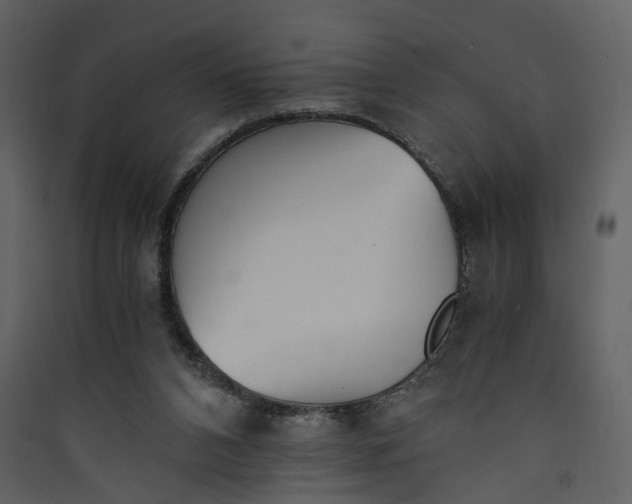 X0000089930112200707131440