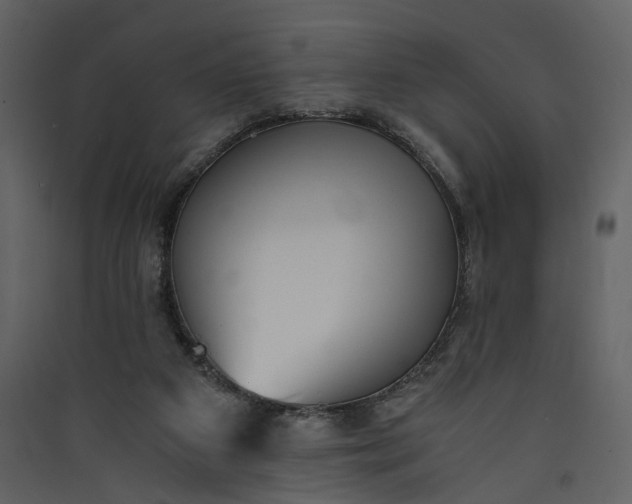 X0000089930113200707131440