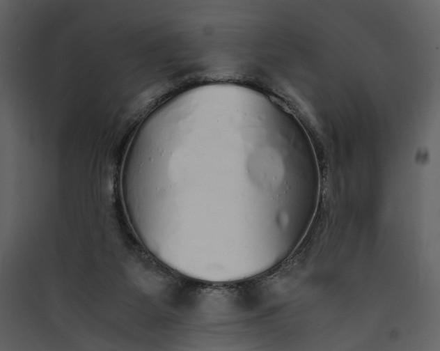 X0000089930115200707131440