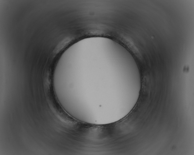 X0000089930116200707131440