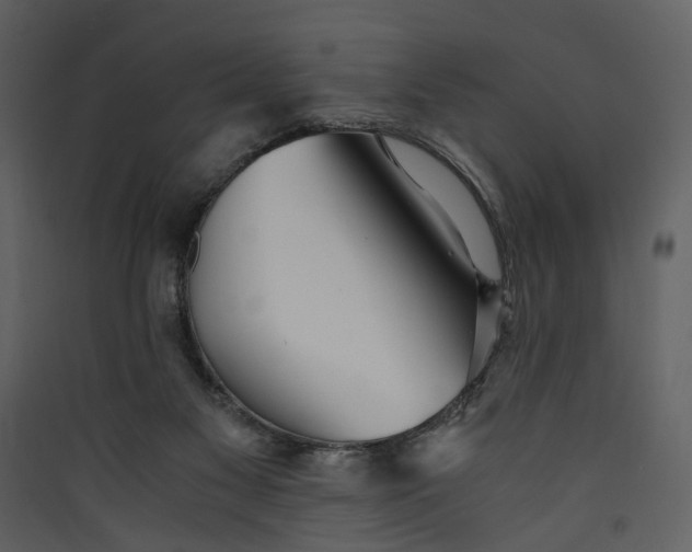 X0000089930117200707131440