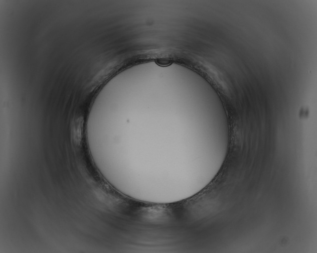 X0000089930118200707131440