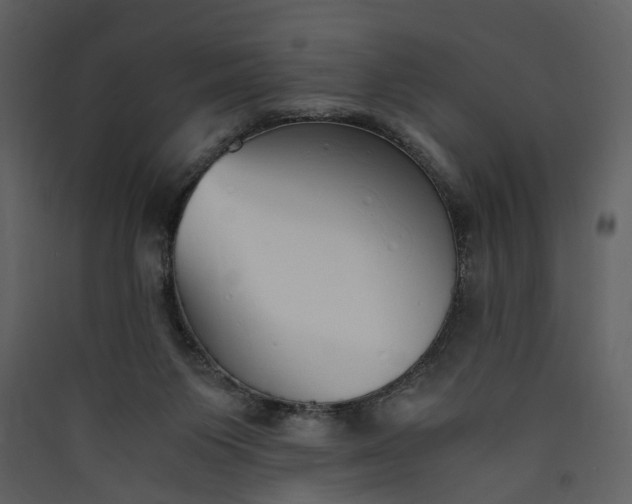 X0000089930119200707131440