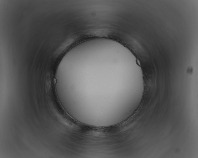 X0000089930120200707131440