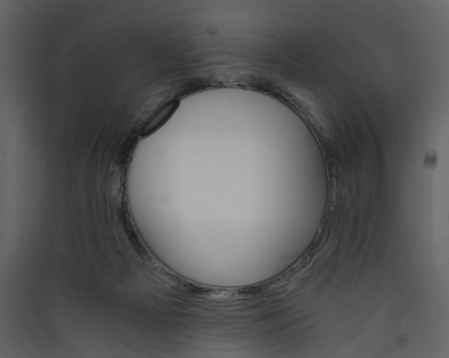 X0000089930121200707131440