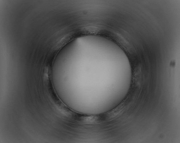 X0000089930122200707131440