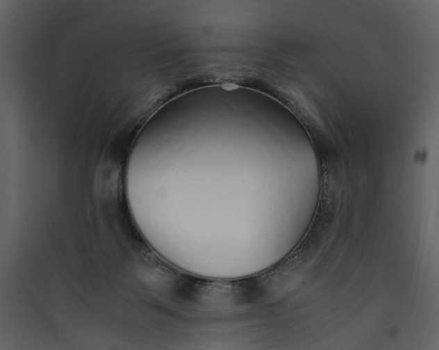 X0000089930123200707131440