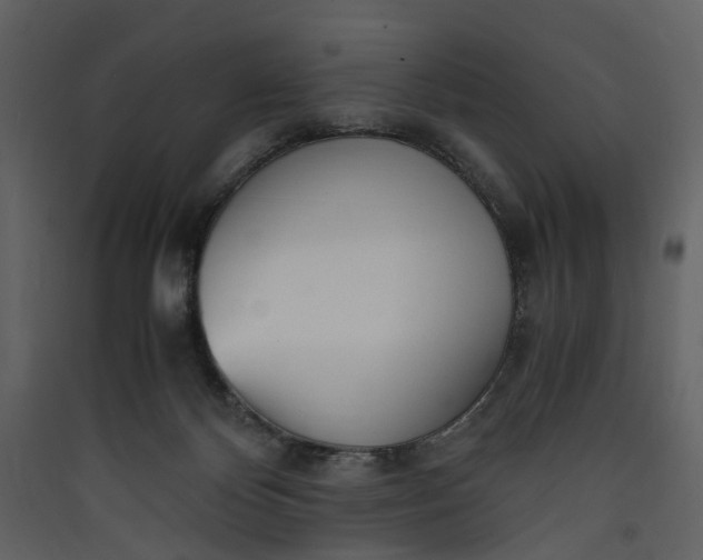 X0000089930124200707131440