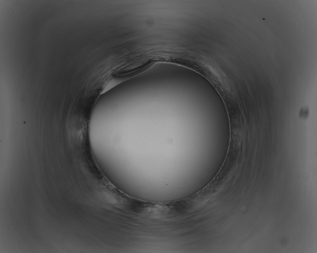 X0000089930125200707131440