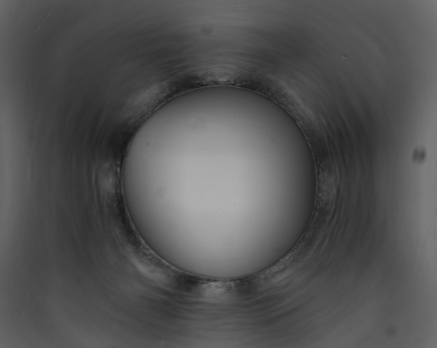 X0000089930126200707131440