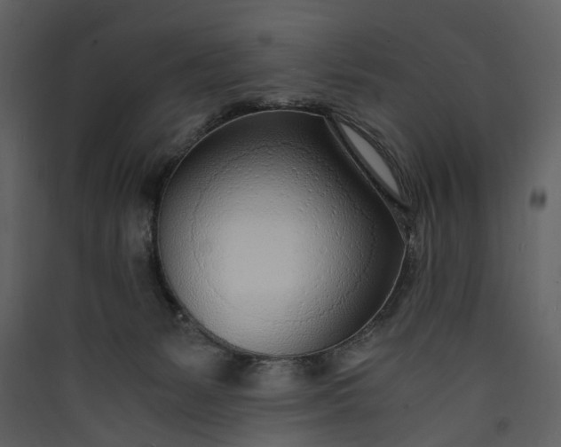 X0000089930127200707131440