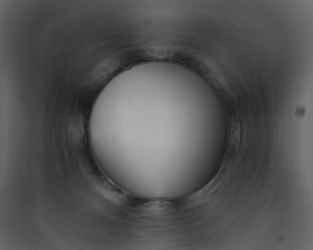 X0000089930128200707131440