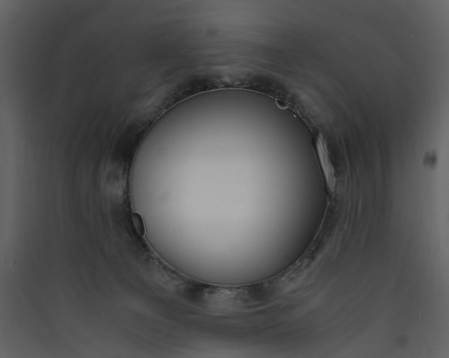 X0000089930129200707131440