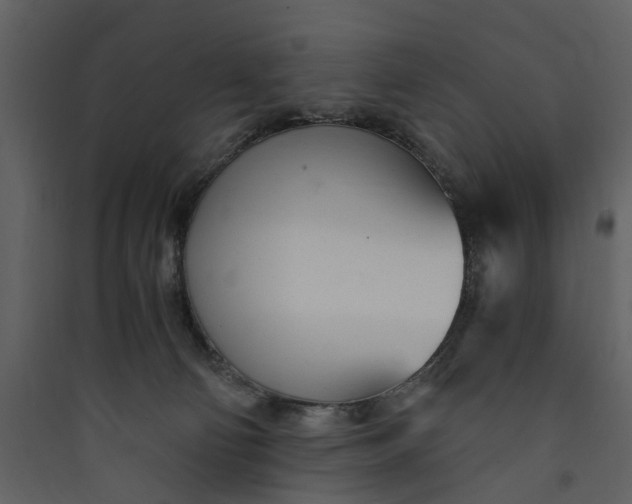 X0000089930130200707131440