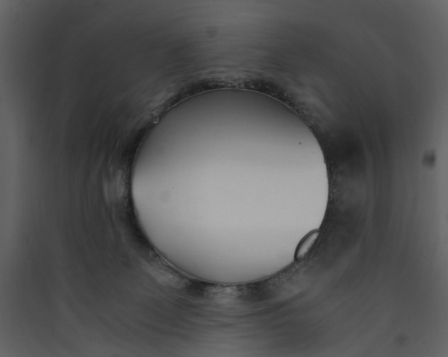 X0000089930131200707131440