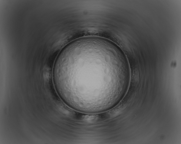 X0000089930135200707131440