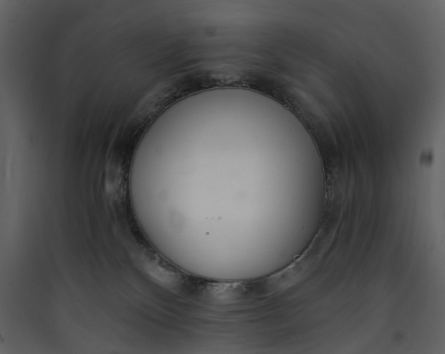 X0000089930136200707131440