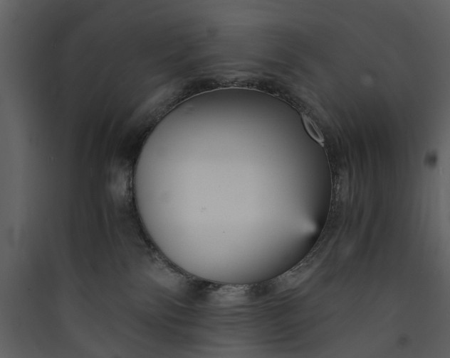 X0000089930138200707131440