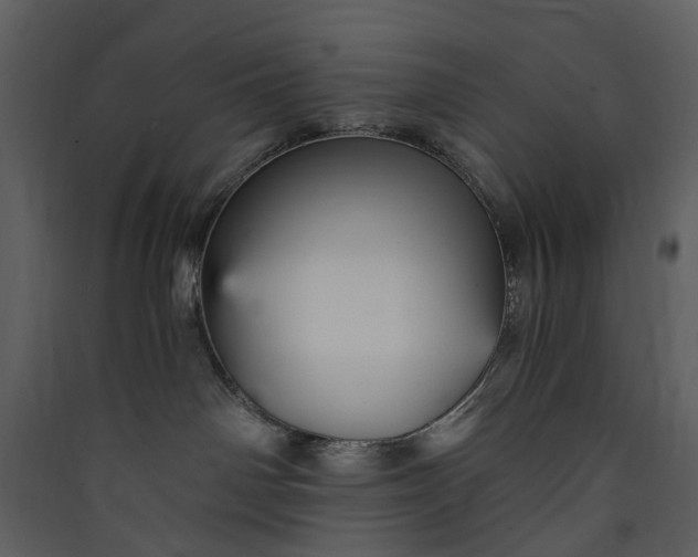 X0000089930142200707131440