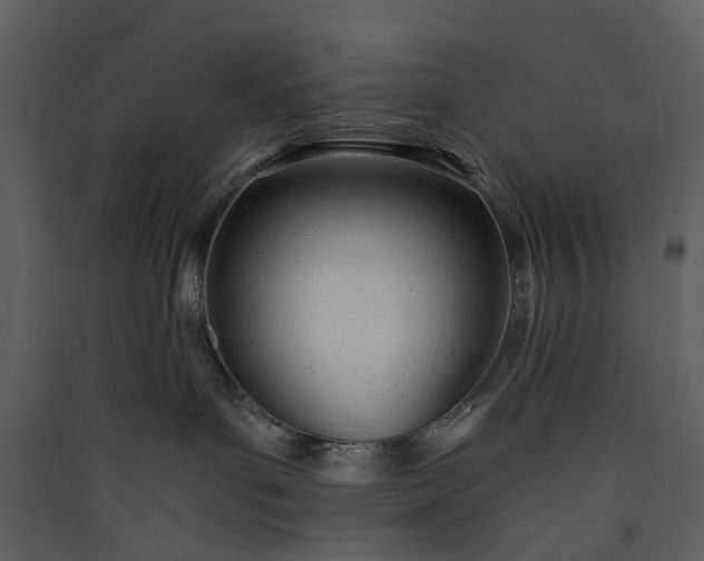 X0000089930143200707131440