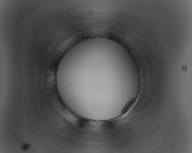 X0000089930144200707131440