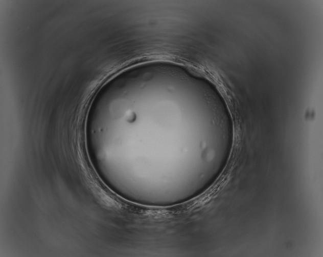 X0000089930145200707131439