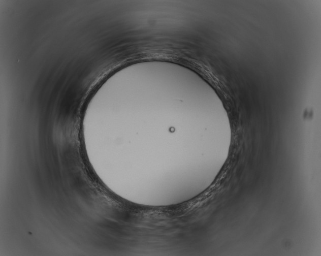 X0000089930146200707131439