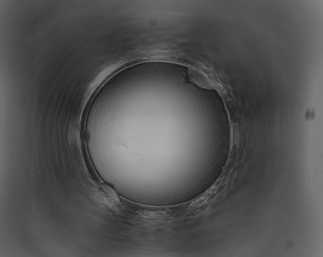 X0000089930147200707131439